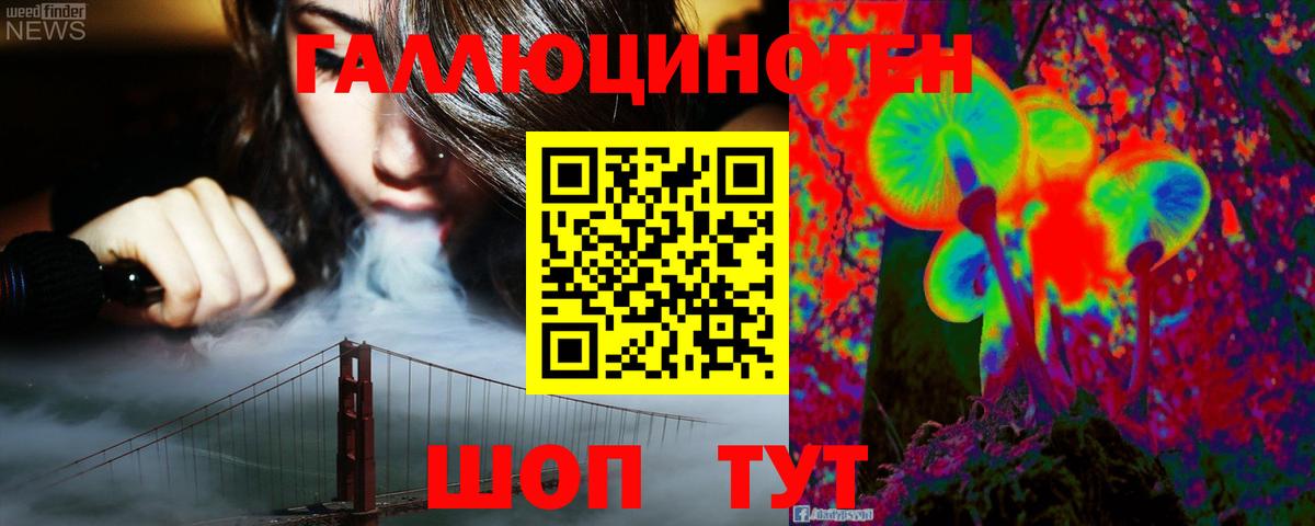 Пушкино  Псилоцибиновые грибы ЛСД  Псилоцибиновые грибы Psilocybine cubensis  Вход с VPN 